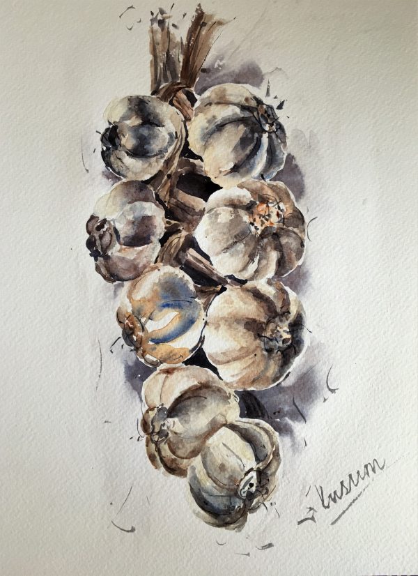 A watercolour painting of a bunch of garlic done in very few colours ideal for kitchen art.