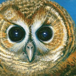 Owl Portrait by Rhia Janta-Cooper