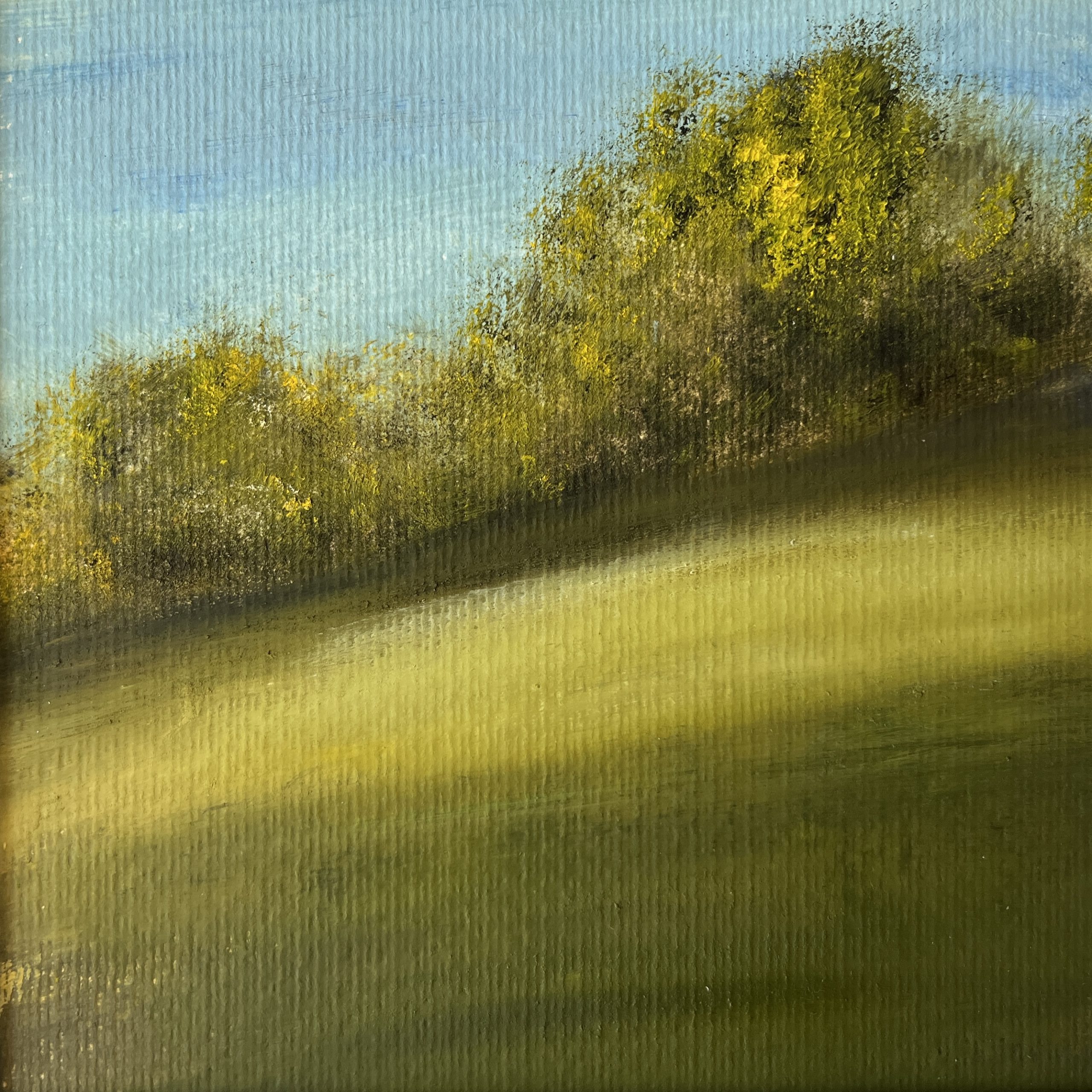 oil painting of summer meadow with grass and tree