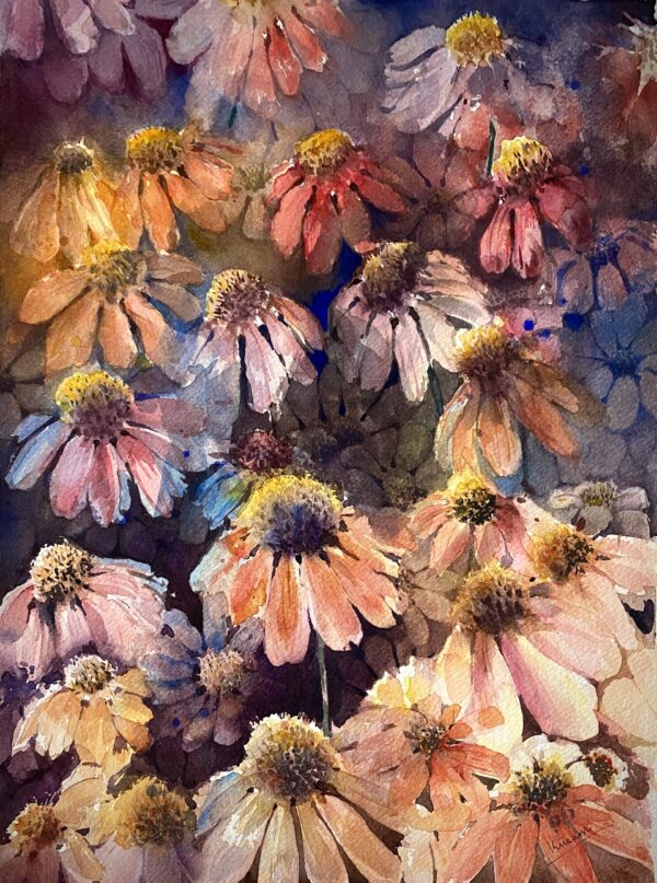 'Light and Shadows' is a watercolour painting of a bunch of coneflowers in different riotous colours trying to catch the sun rays.