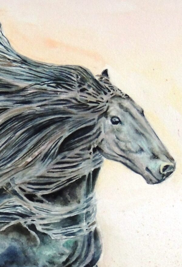 Black horse watercolour by British artist Elizabeth Sadler