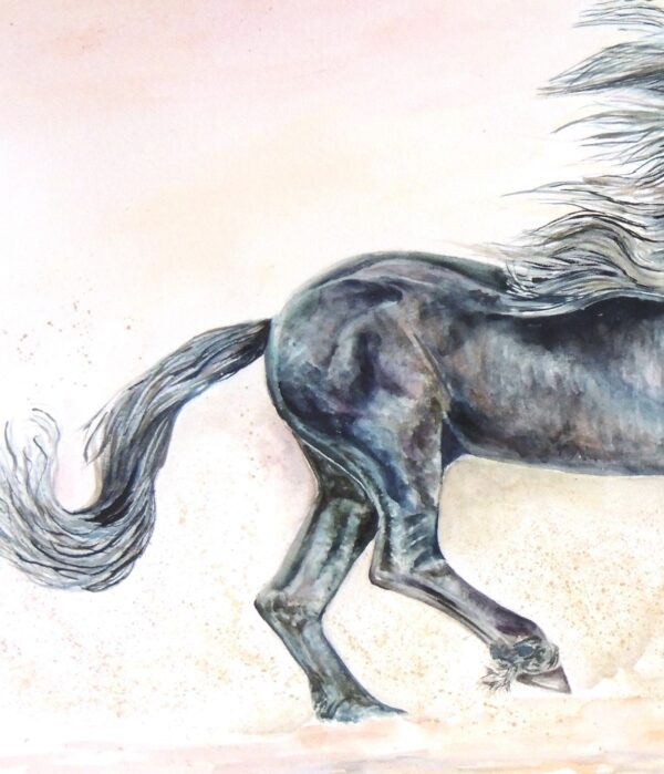 Black horse watercolour by British artist Elizabeth Sadler