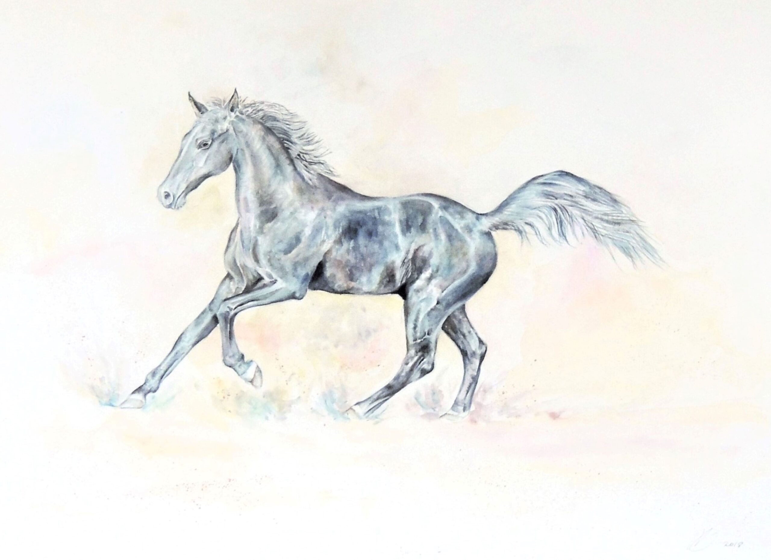 Black horse wtercolour by UK artist Elizabeth Sadler
