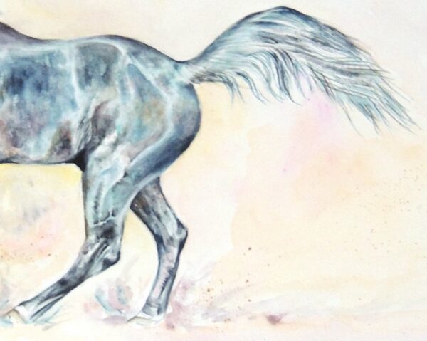 Black horse wtercolour by UK artist Elizabeth Sadler