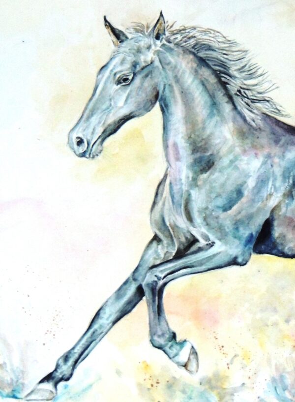 Black horse wtercolour by UK artist Elizabeth Sadler