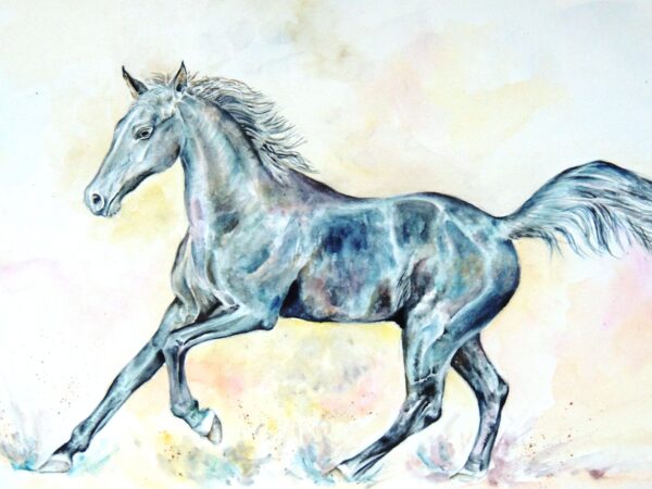 Black horse wtercolour by UK artist Elizabeth Sadler