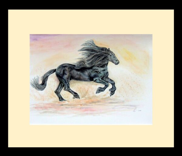 Black horse watercolour by British artist Elizabeth Sadler