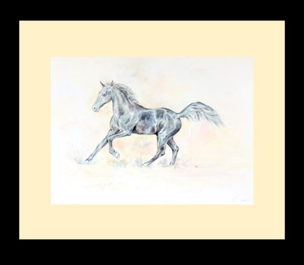 Black horse wtercolour by UK artist Elizabeth Sadler