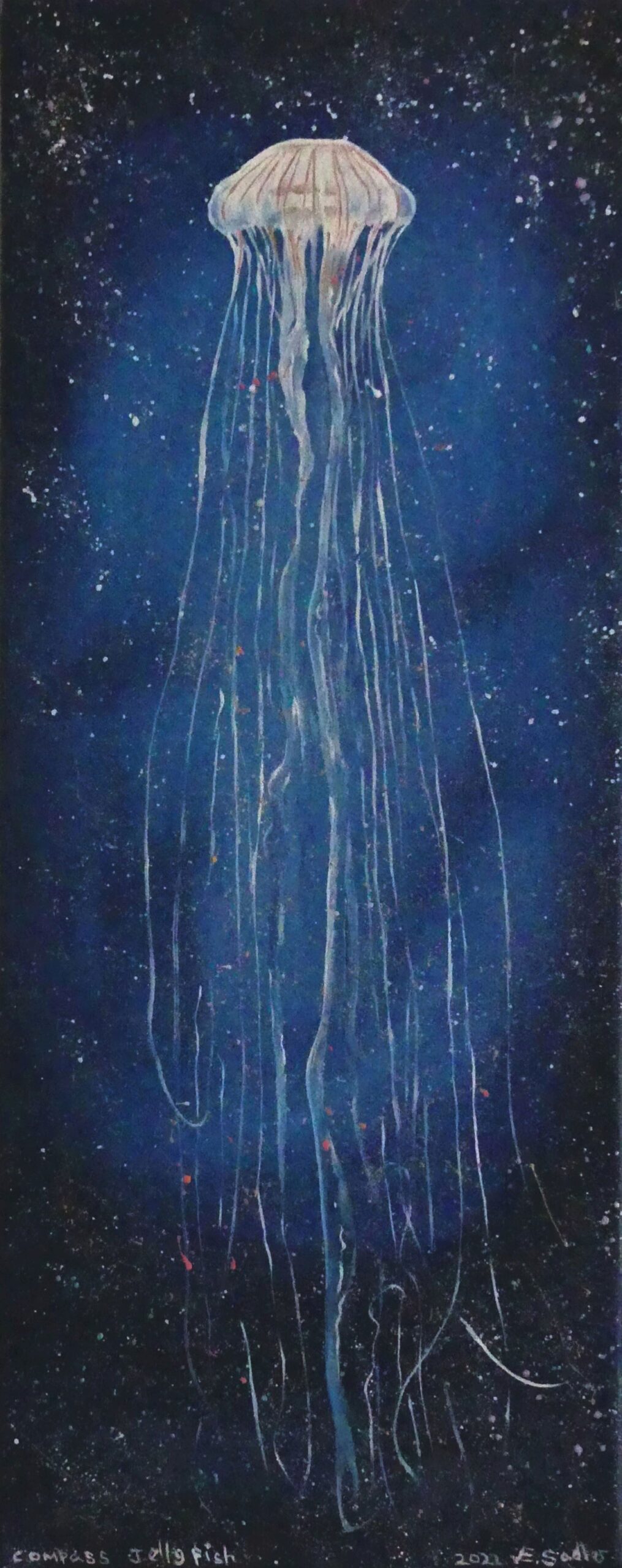 Compass Jellyfish Oil Painting by UK Artist Elizabeth Sadler
