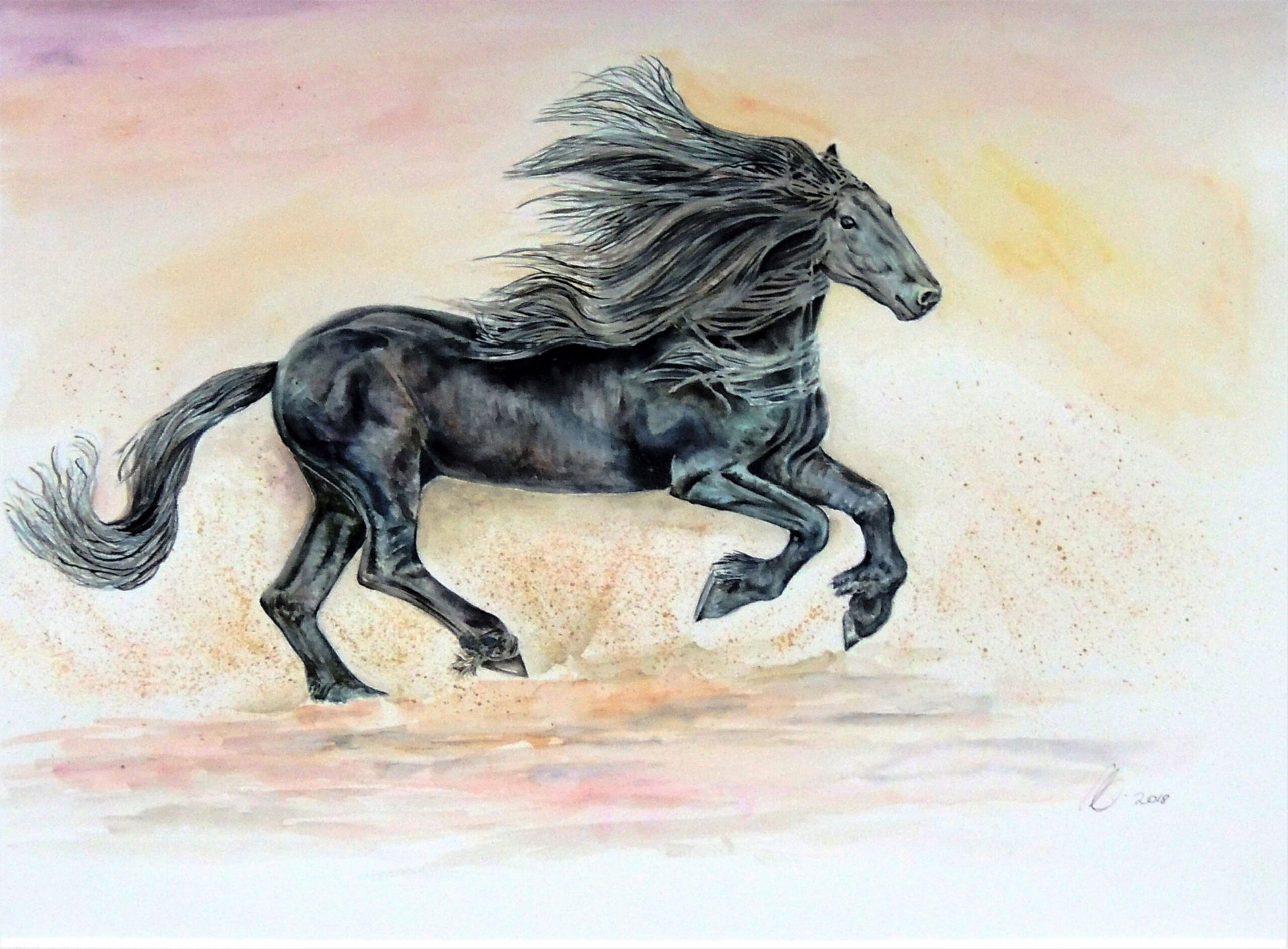 Black horse watercolour by British artist Elizabeth Sadler