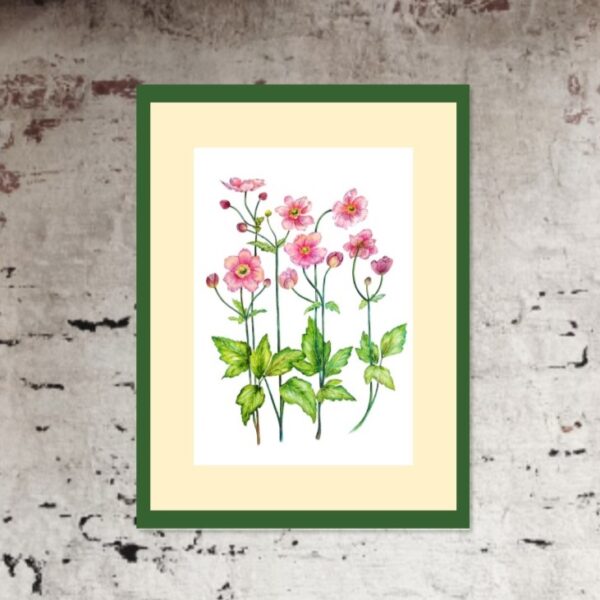 Anemone flower botanical watercolour by UK artist Elizabeth Sadler