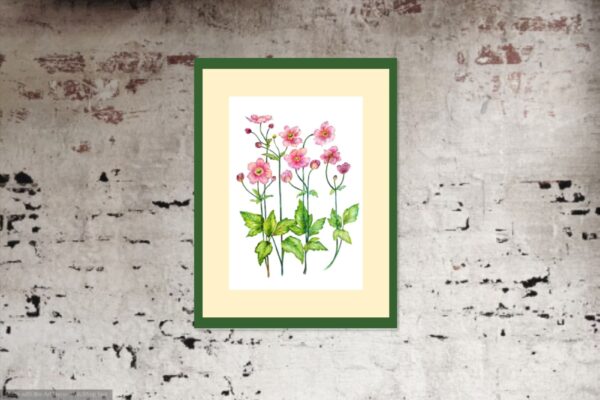 Anemone flower botanical watercolour by UK artist Elizabeth Sadler