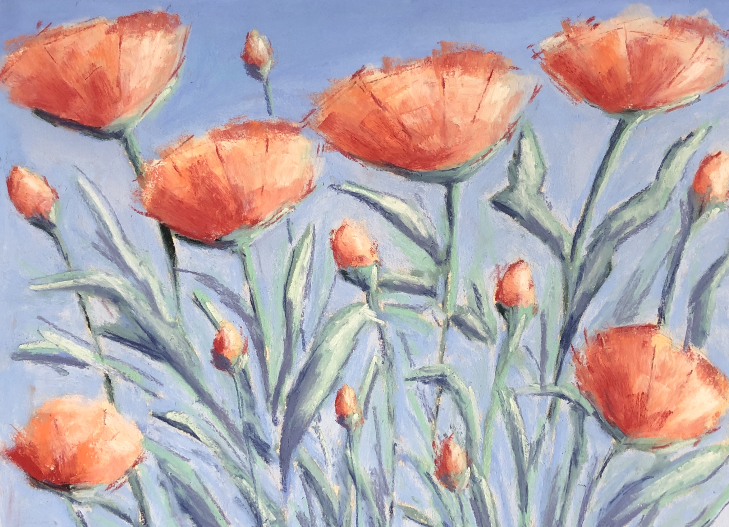 Poppies Under a Blue Sky painting by Lincolnshire artist Geraldine Segre
