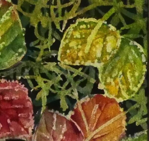 bramble leaves watercolour painting by british artist Elizabeth Sadler